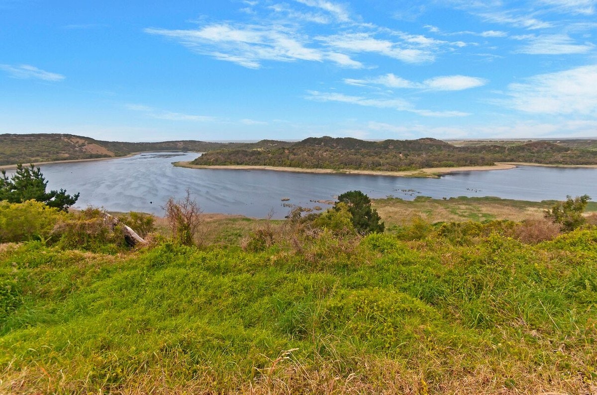 Image of nature