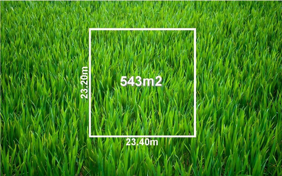 Image of grass