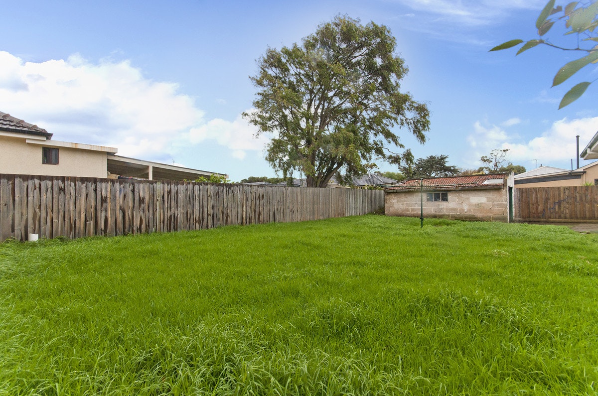 Image of backyard