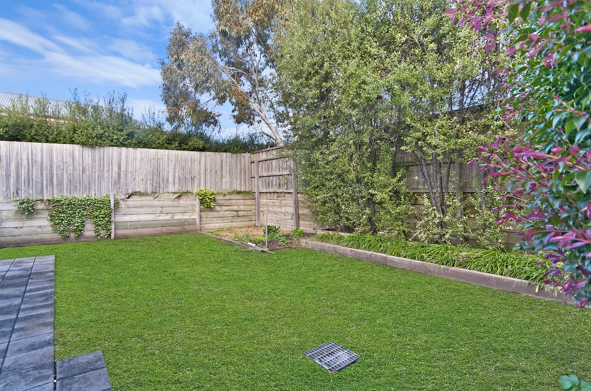 Image of backyard