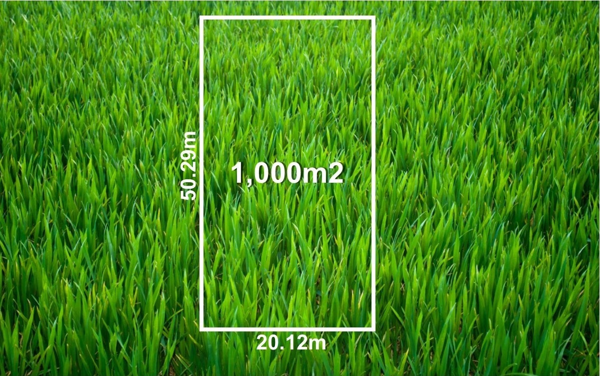 Image of grass