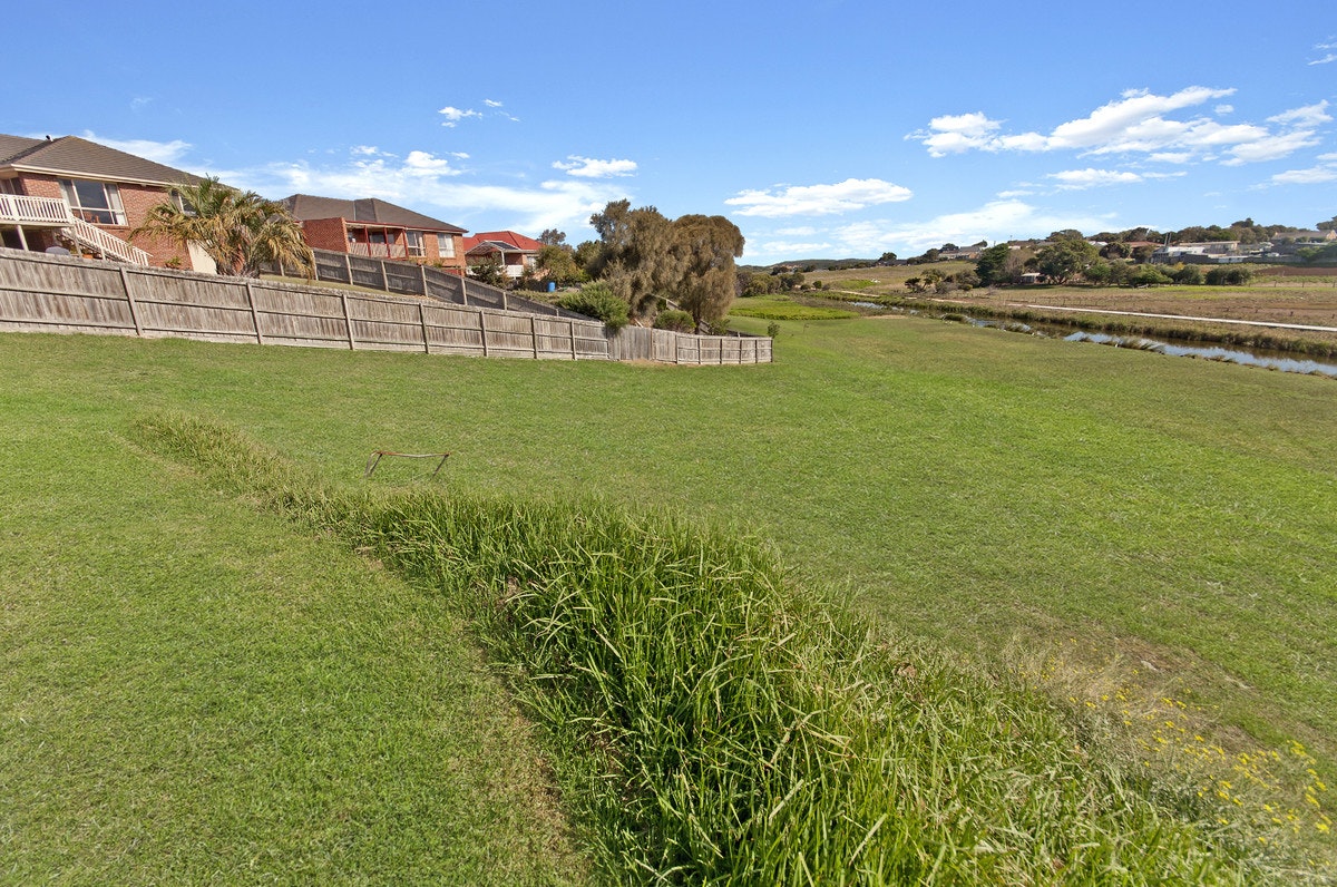 Image of grass