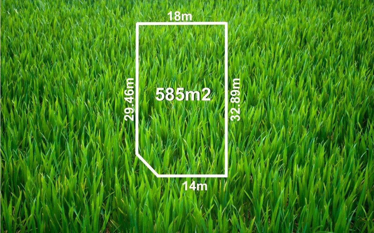 Image of grass