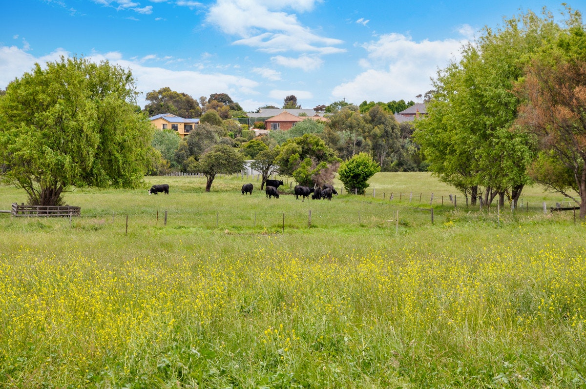 Image of countryside