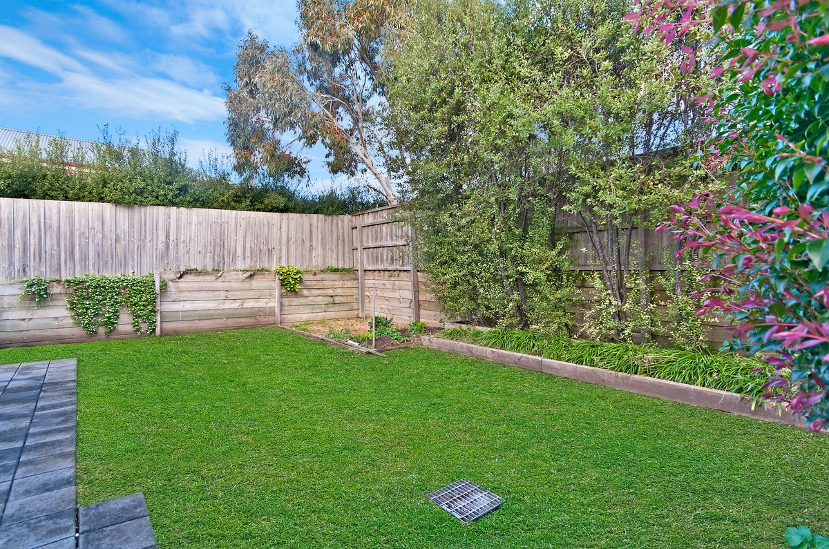 Image of backyard