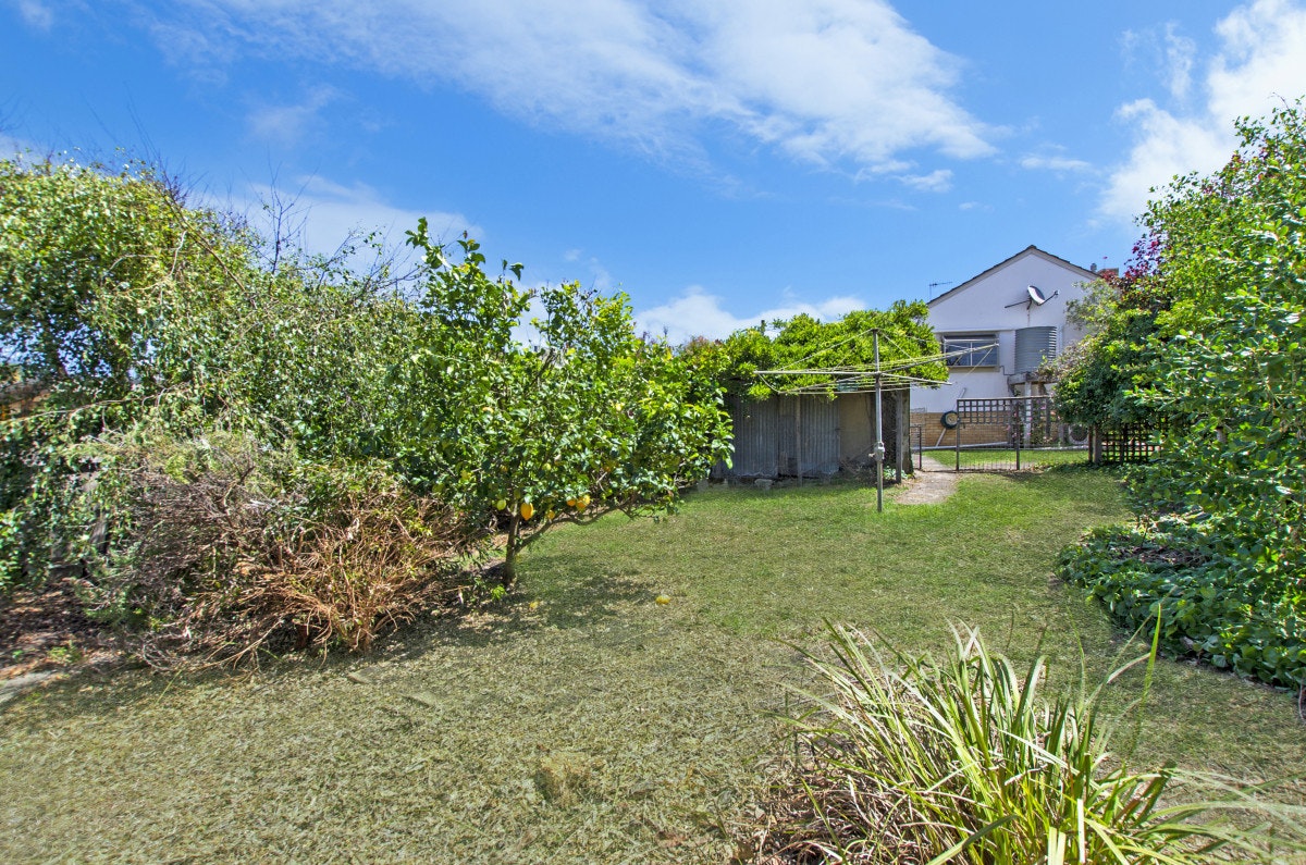 Image of backyard