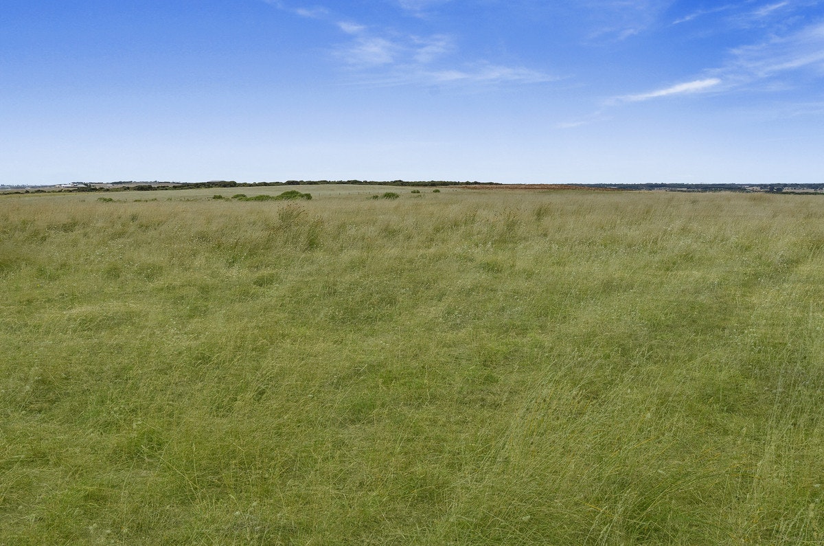 Image of field