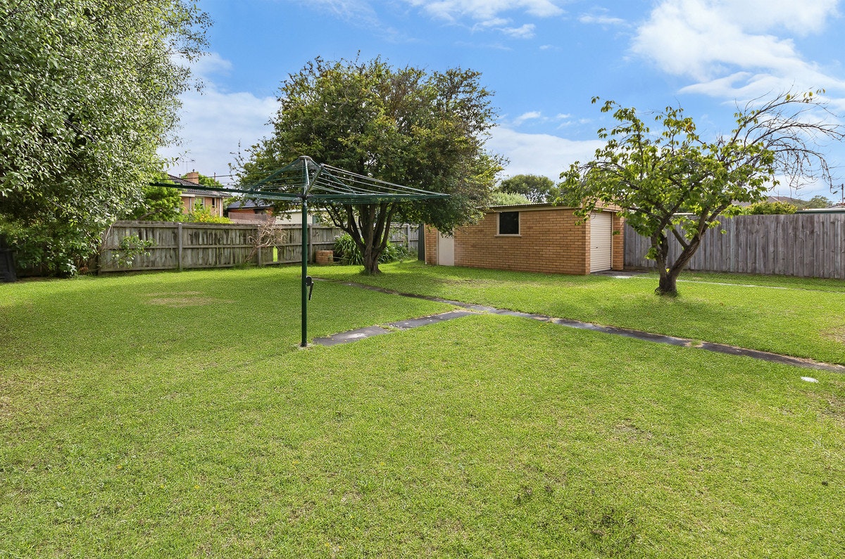 Image of backyard