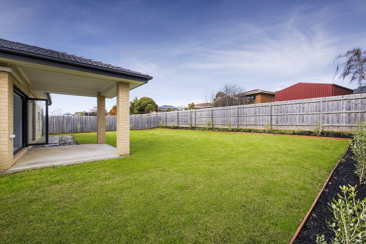 Image of backyard