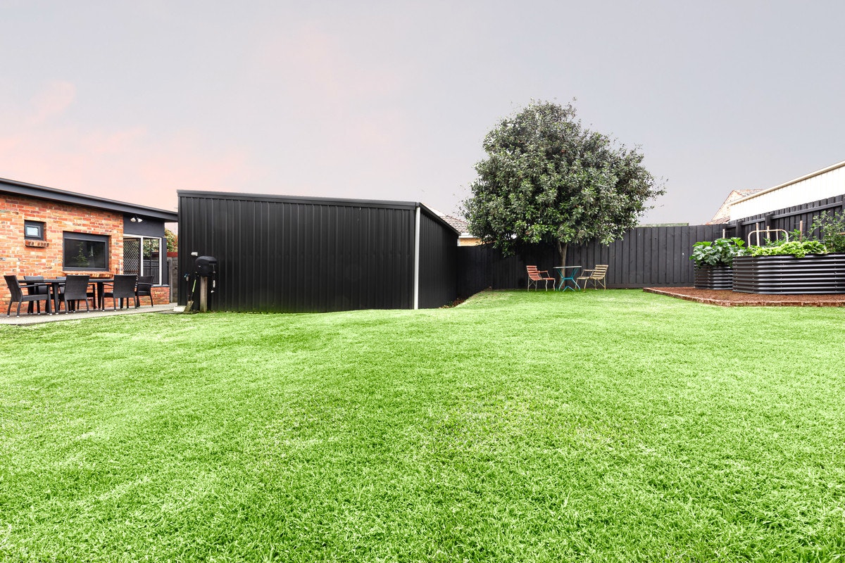 Image of backyard