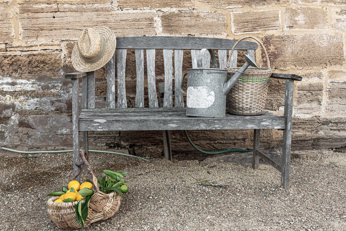 Image of bench