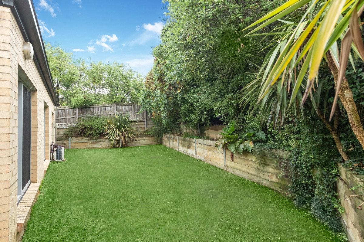 Image of backyard