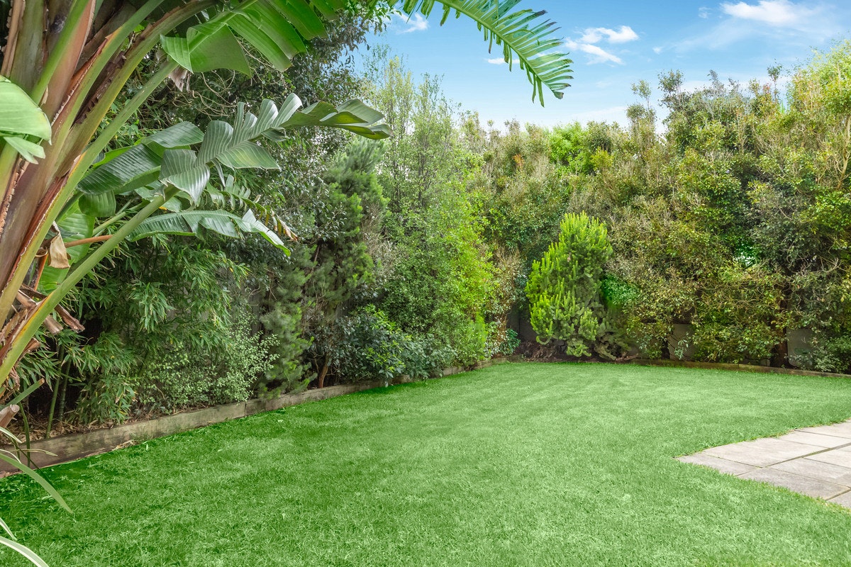 Image of grass