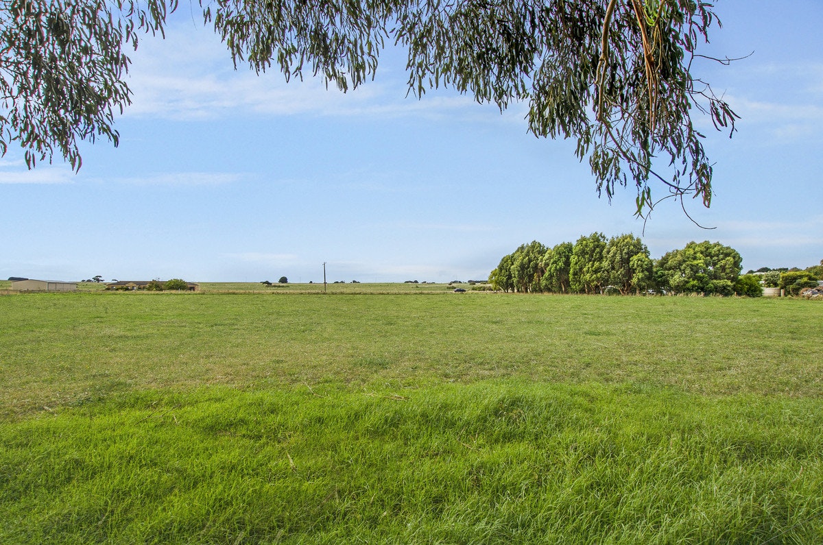 Image of grass