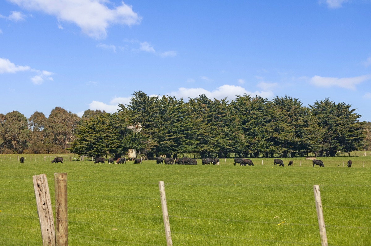 Image of countryside
