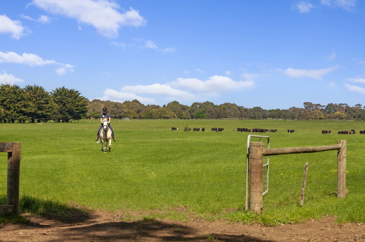 Image of countryside