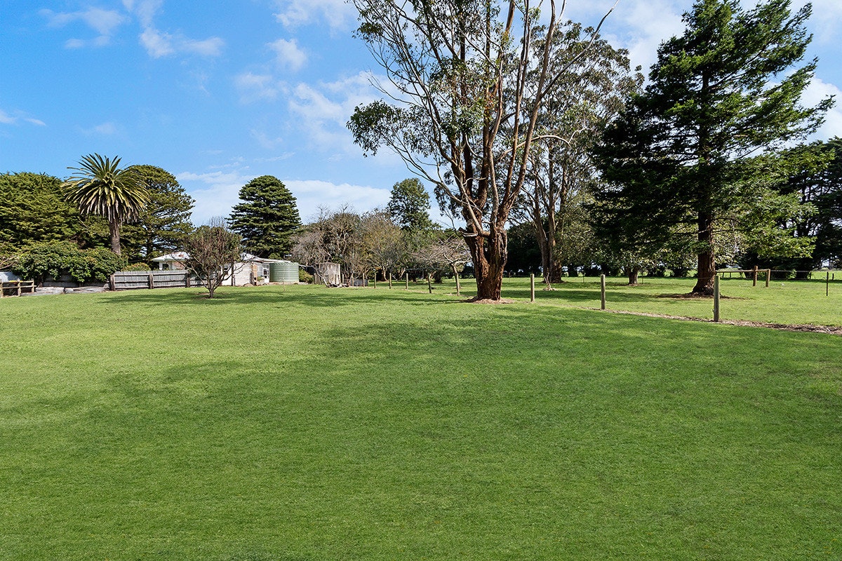 Image of grass