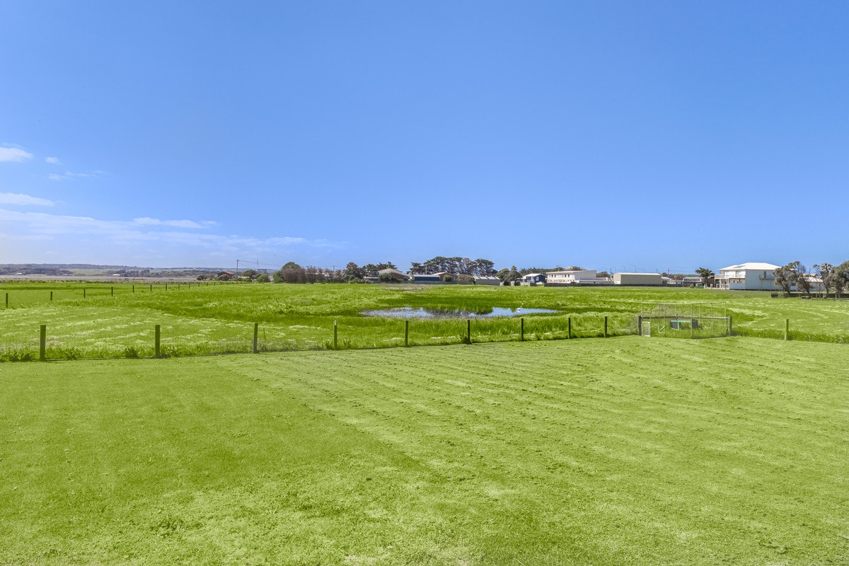 Image of grass