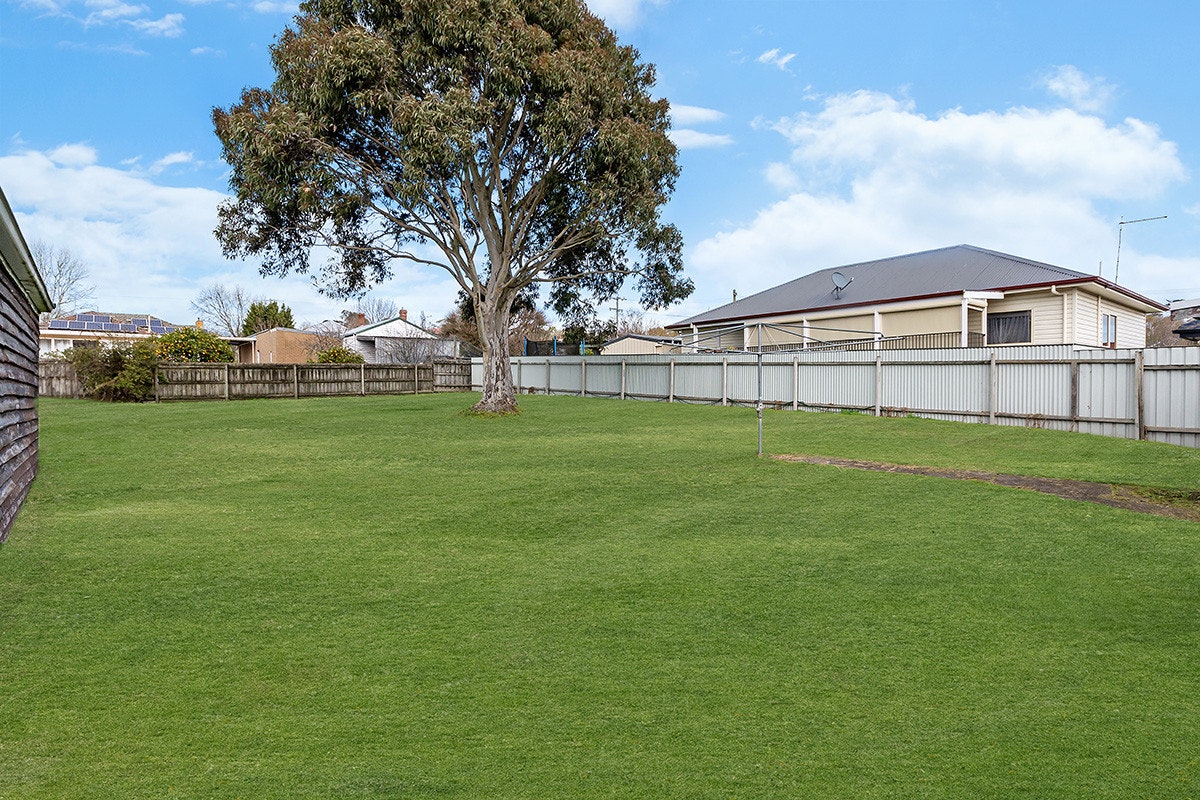 Image of grass