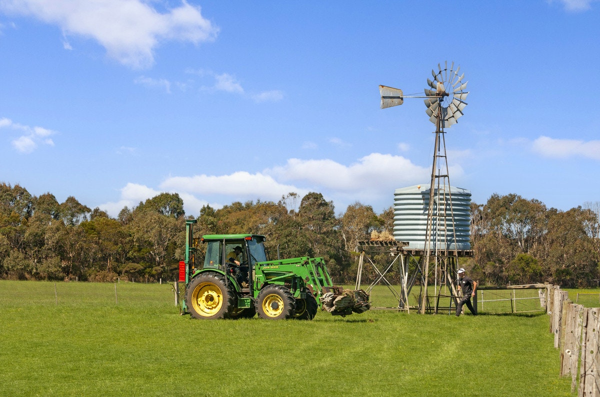 Image of grass