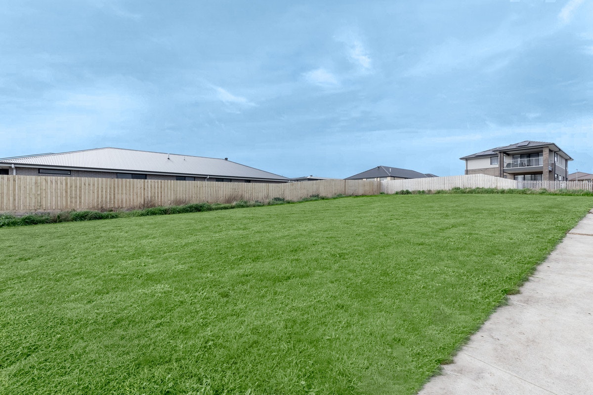 Image of grass