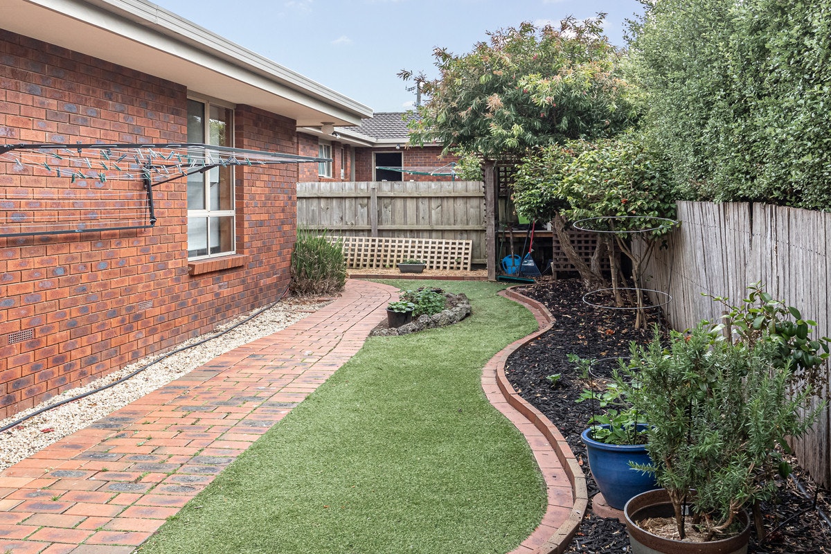 Image of backyard