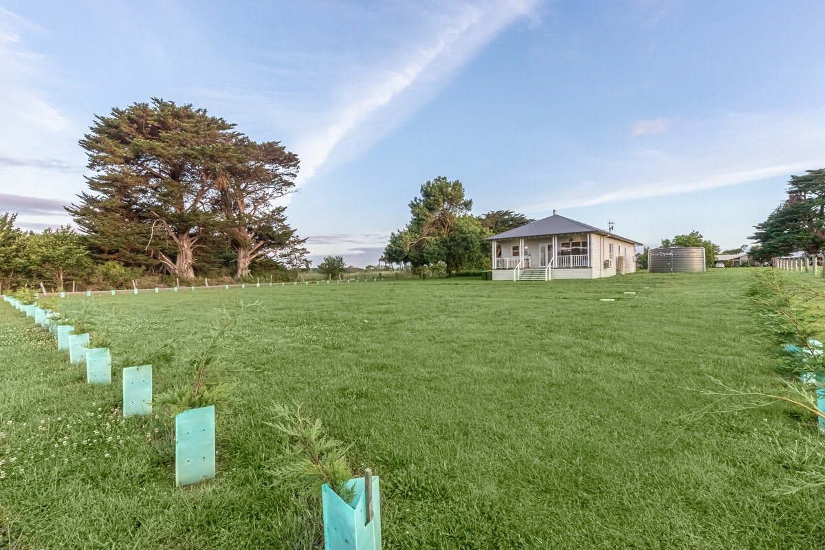 Image of grass