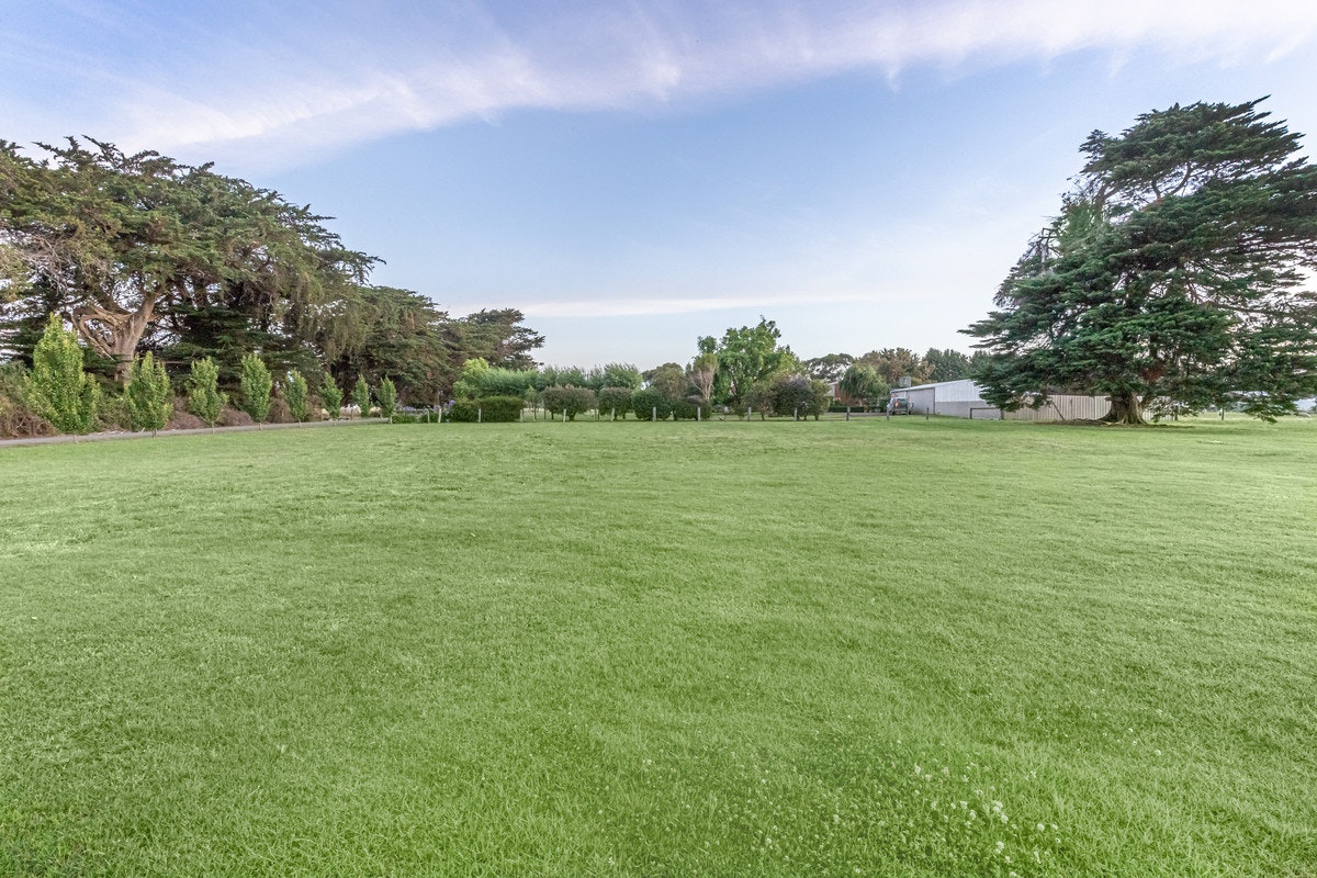 Image of grass