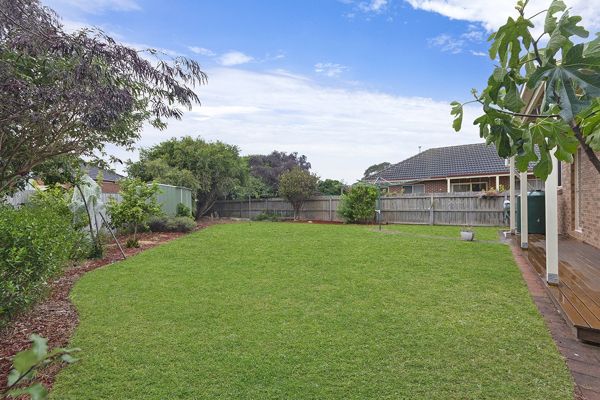 Image of backyard