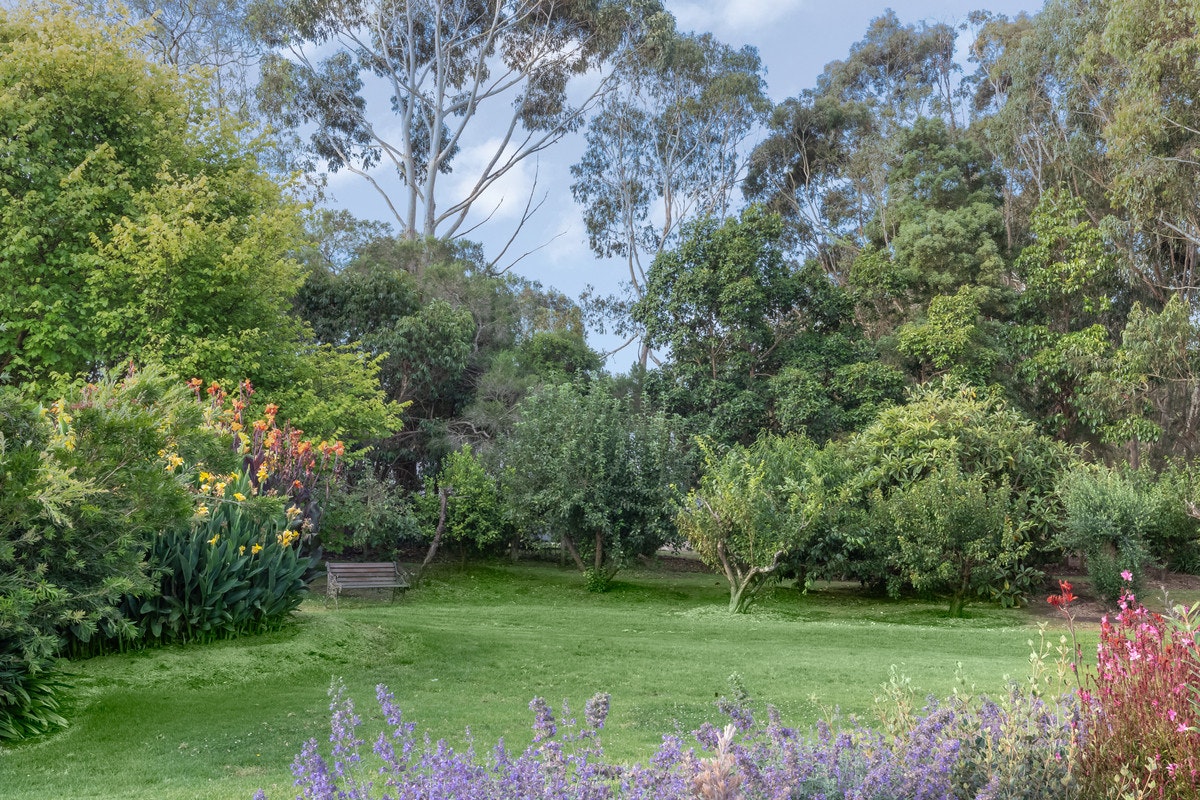 Image of grass