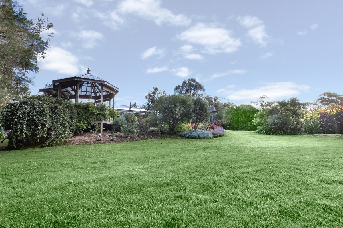 Image of grass