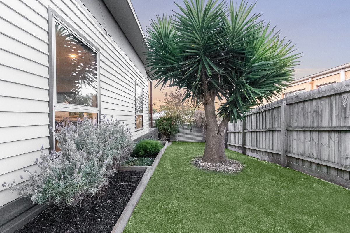 Image of backyard
