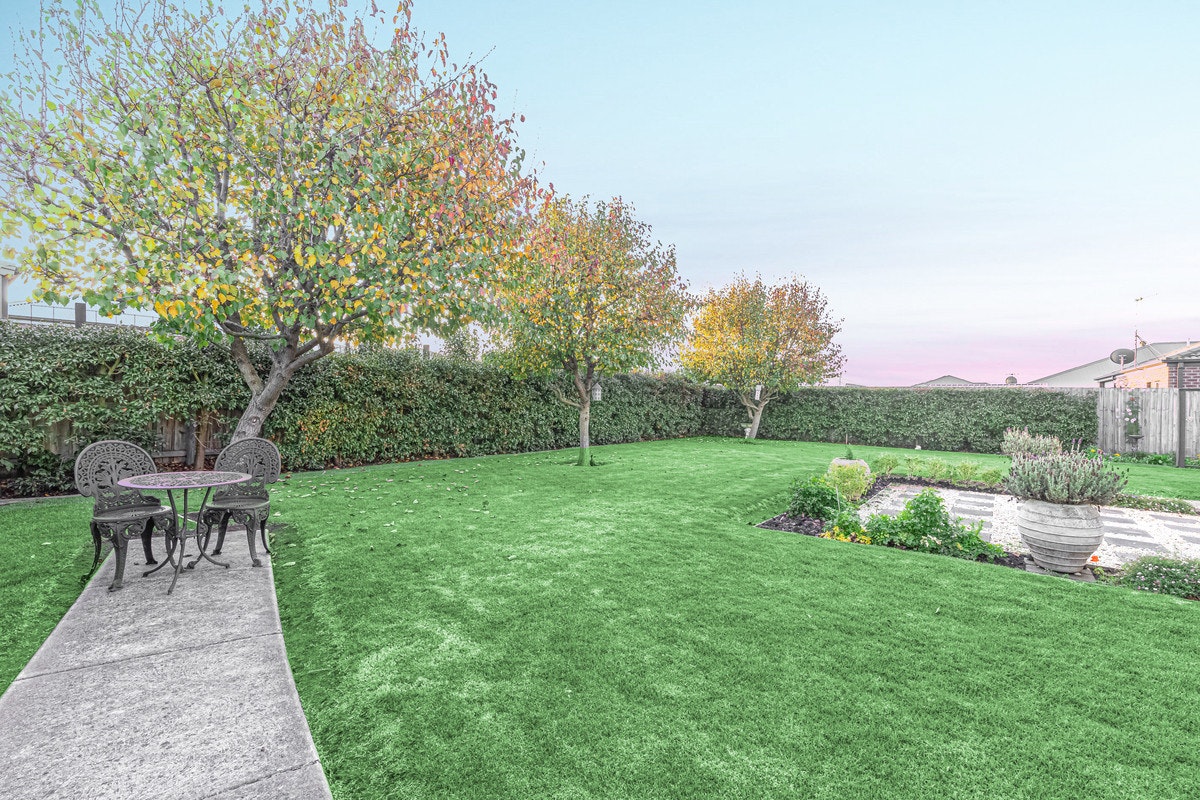 Image of grass
