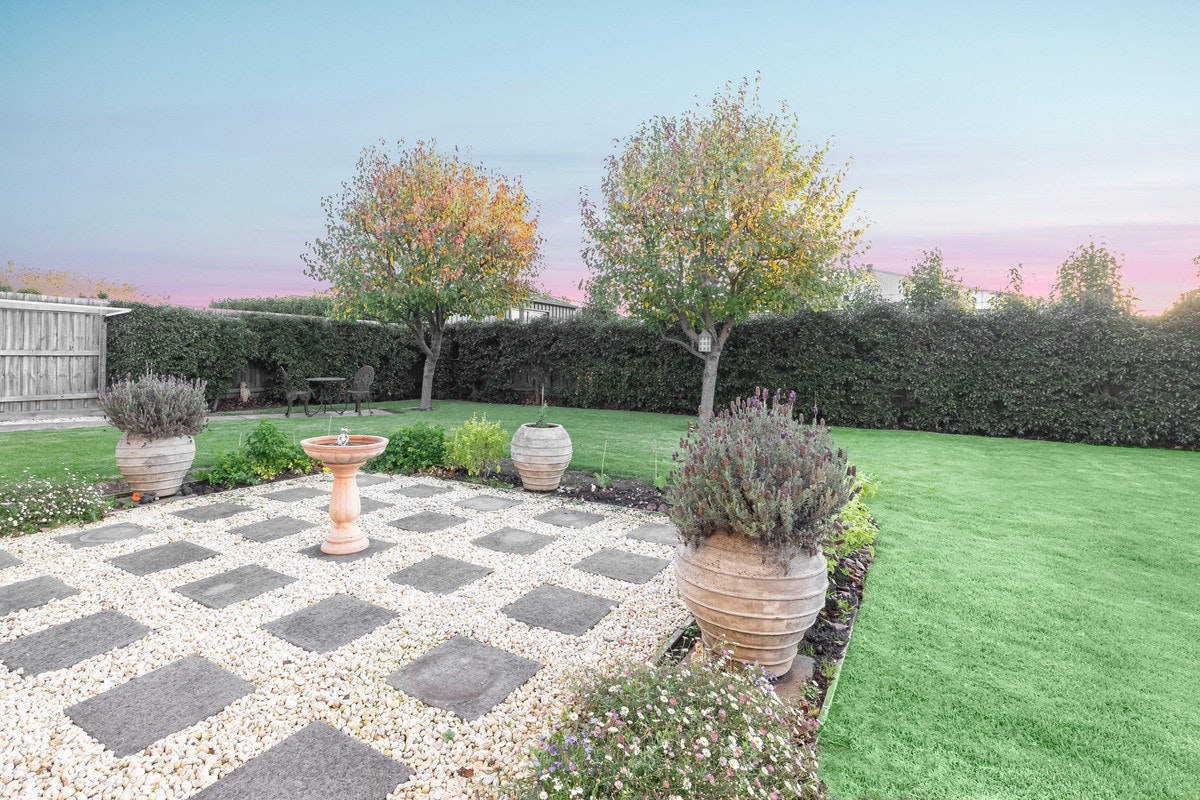 Image of backyard
