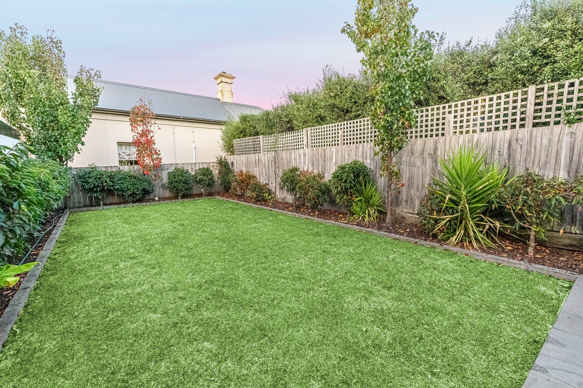 Image of backyard