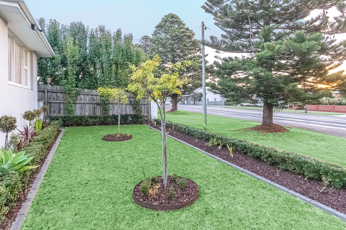 Image of backyard