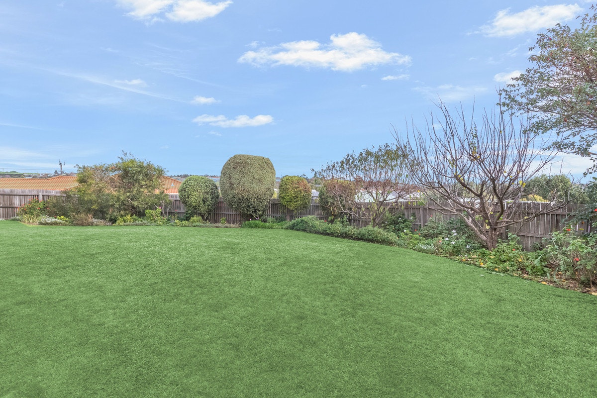 Image of grass