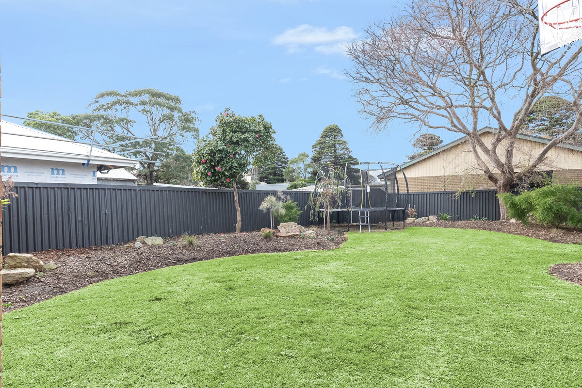 Image of backyard