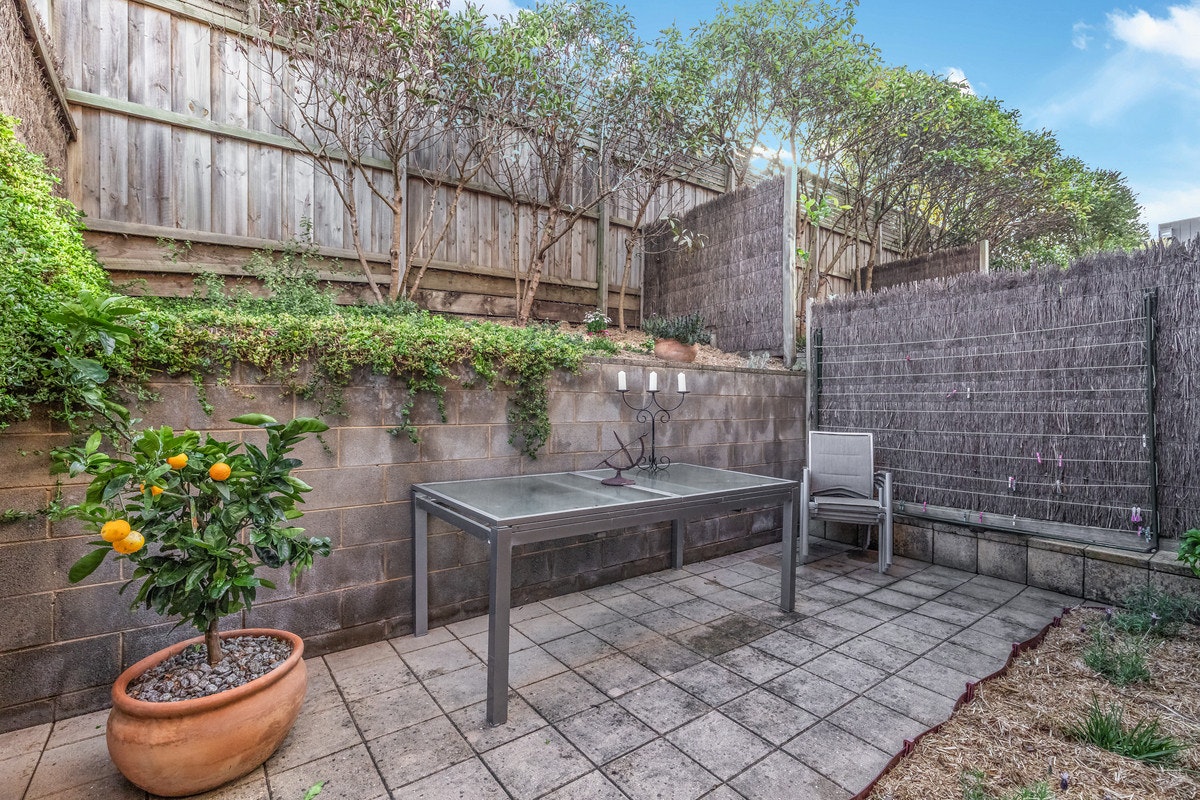 Image of backyard