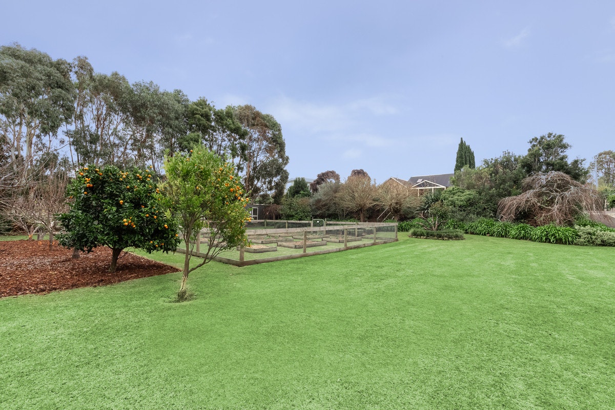 Image of grass