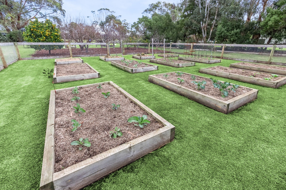 Image of backyard