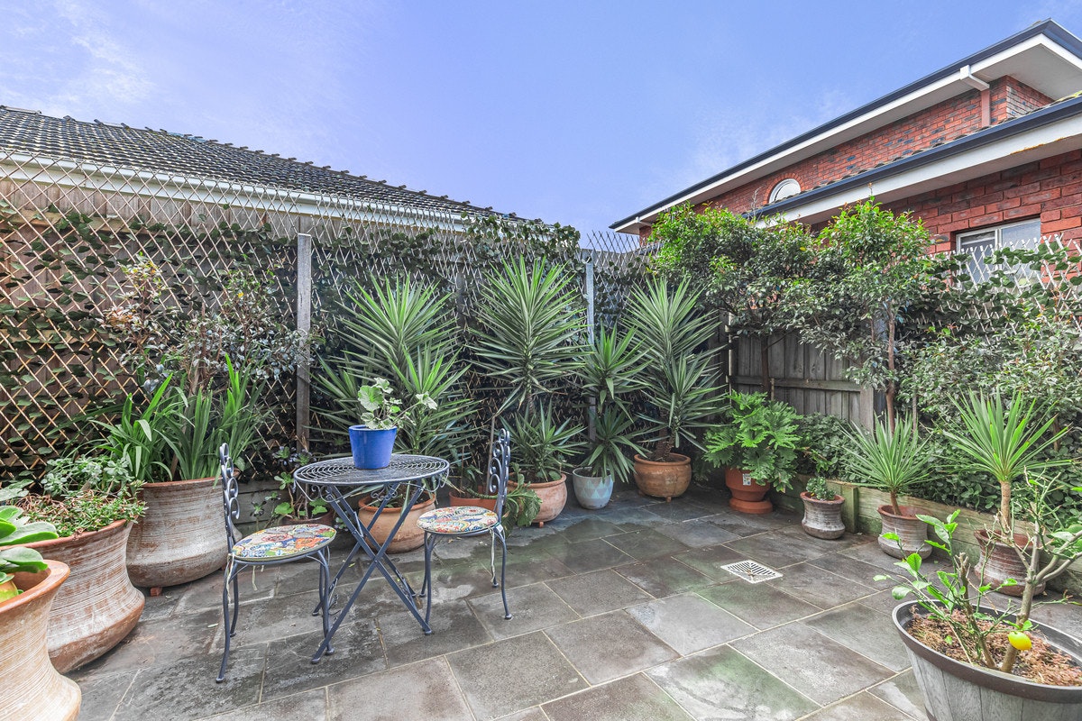 Image of backyard