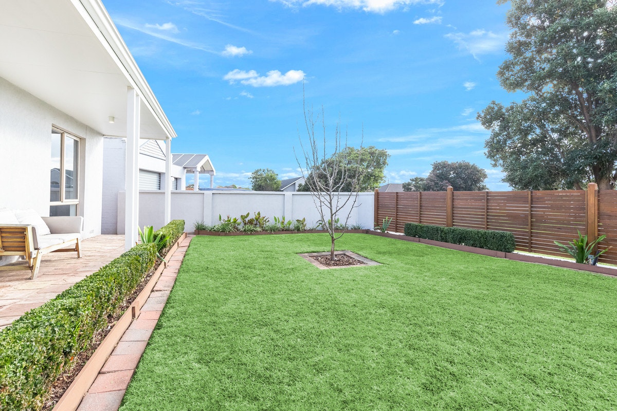 Image of backyard
