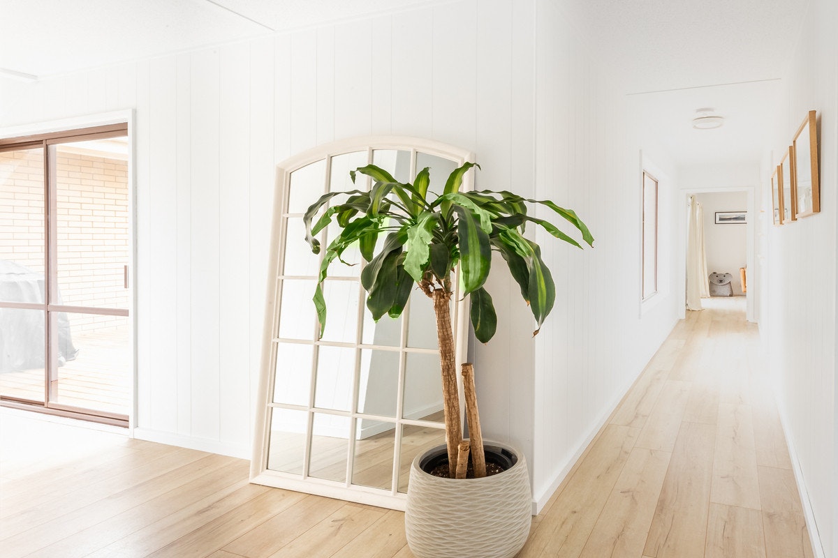Image of plant