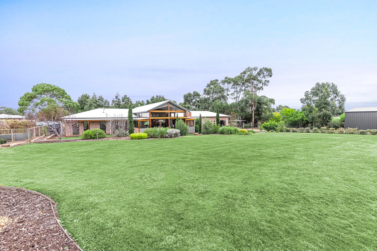 Image of grass