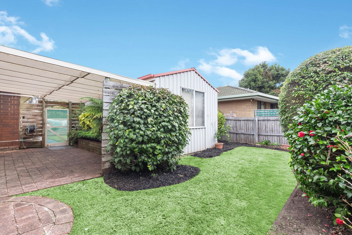Image of backyard