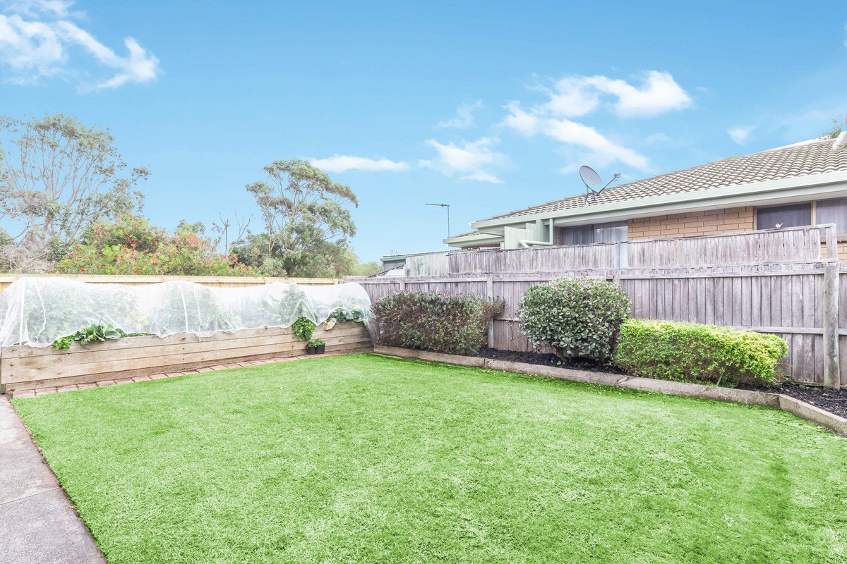 Image of backyard