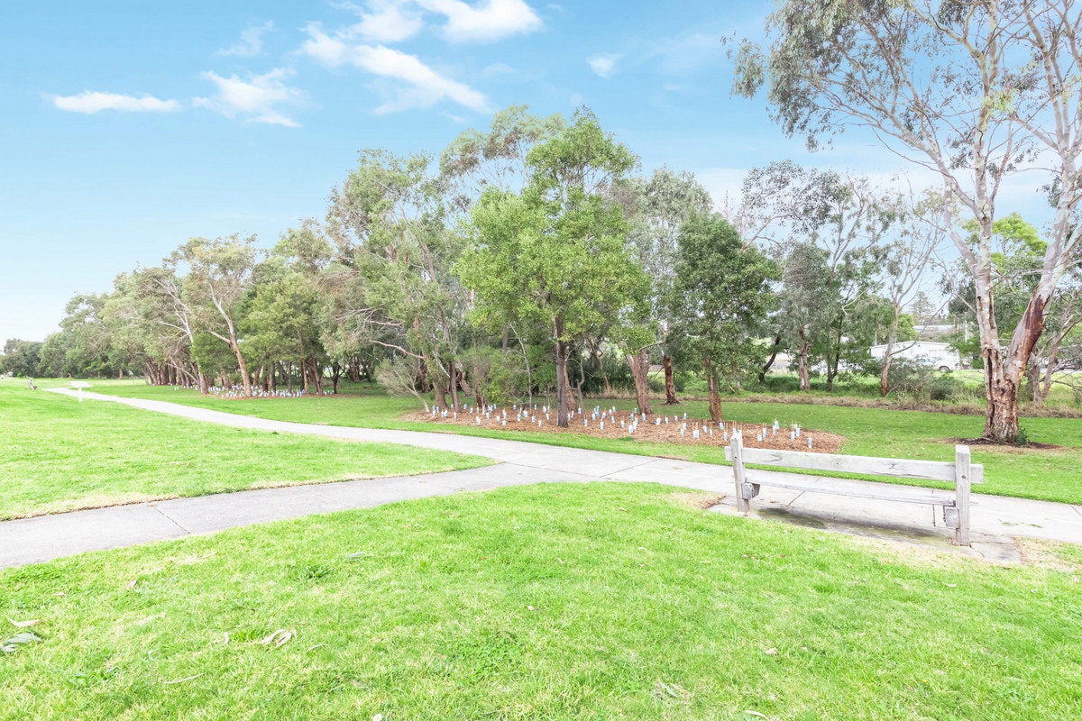 Image of grass