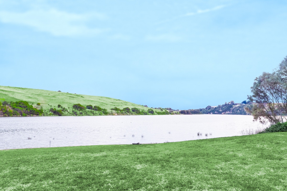 Image of nature