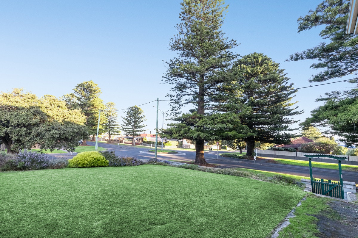 Image of grass